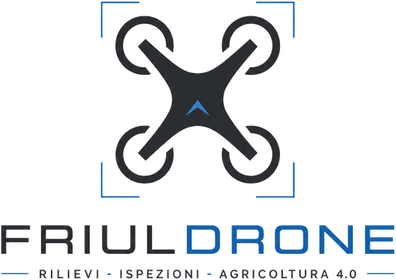 FriulDrone